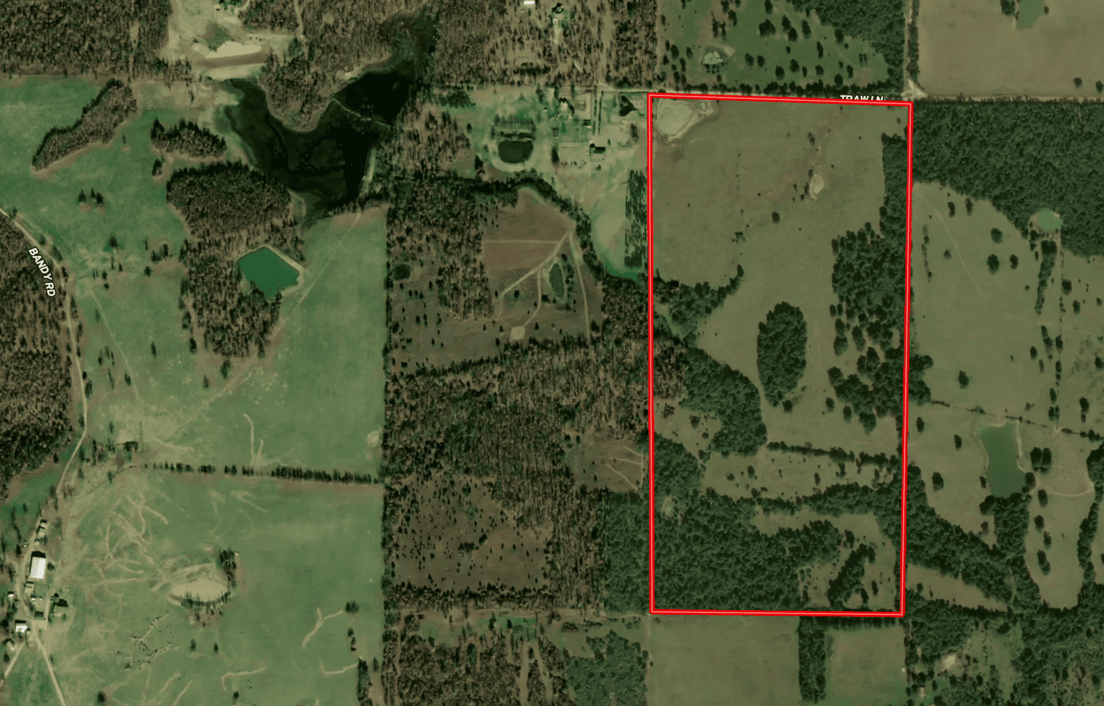 81 Acres in the Arkansas Ozarks